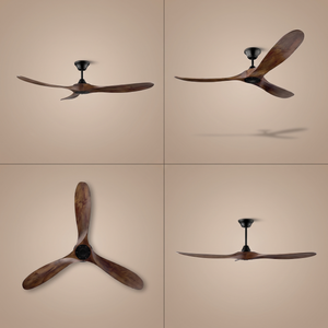 Karri ceiling fan shown from four angles