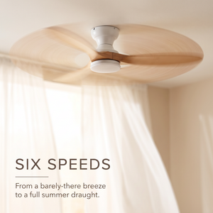 Kiama ceiling fan six speeds