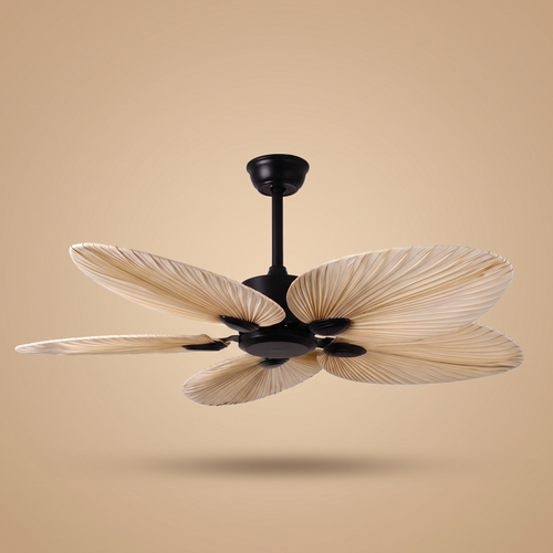 Daintree palm leaf ceiling fan in black, studio product shot