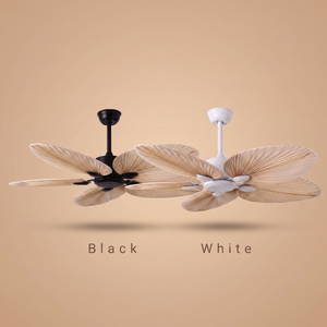 Daintree ceiling fan colour range, black and white