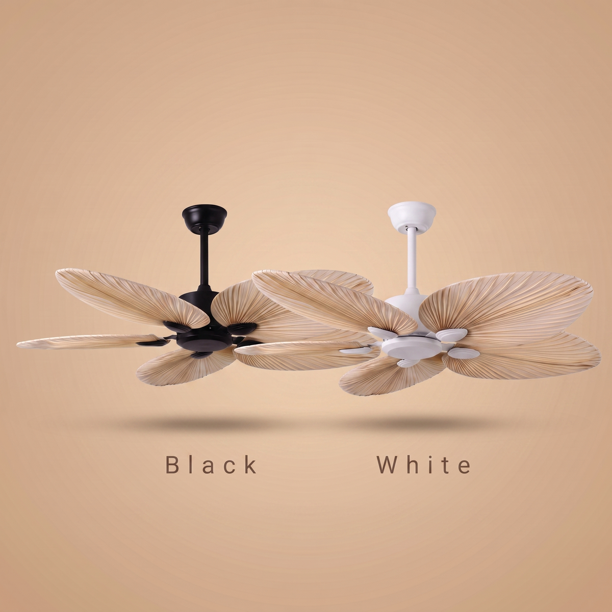 Daintree ceiling fan colour range, black and white
