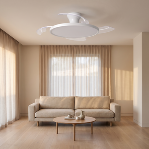 Zephyr ceiling fan installed in a living room