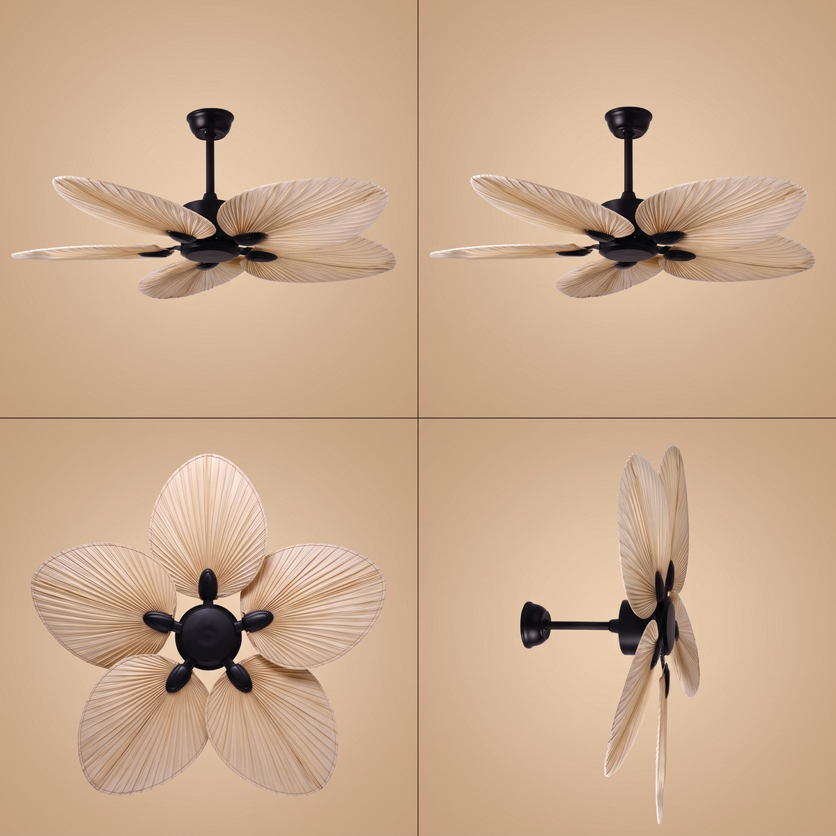 Daintree ceiling fan shown from four angles