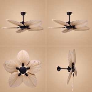 Daintree ceiling fan shown from four angles