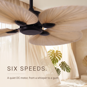 Daintree ceiling fan six speeds from a quiet DC motor