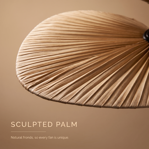 Daintree sculpted palm frond blade close-up