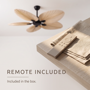 Daintree ceiling fan remote control included