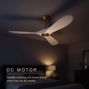 DC motor